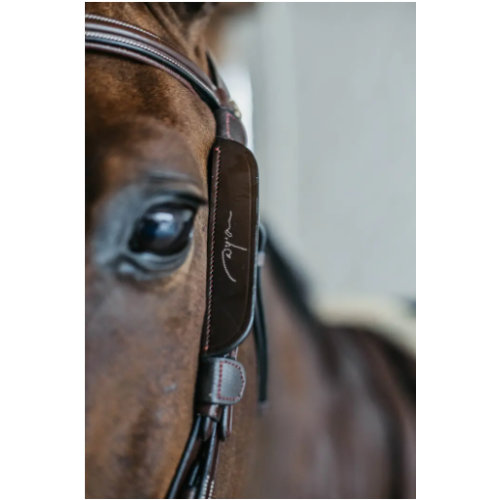 Blinkers with fancy stitching