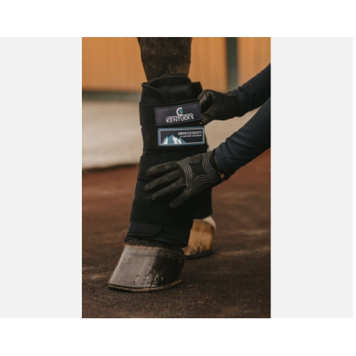 Jambieri De Racire Cryo Ice Kentucky 