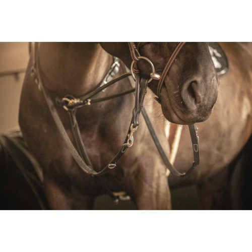 Darlogi Howlett Penelope 