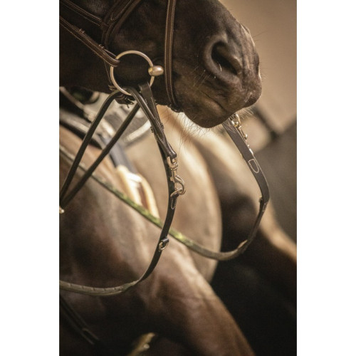 Darlogi Howlett Penelope 