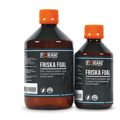 Friska Foal Foran