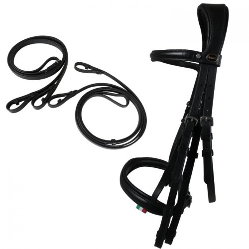 FRAU DRESAJ Achen cu darlogi