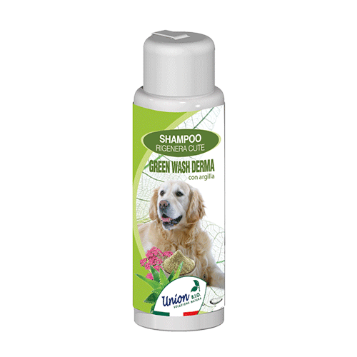 Green Wash Derma - sampon cu argila