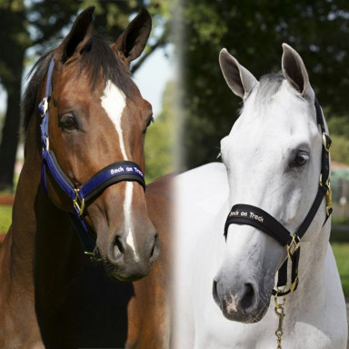 Back on Track Welltex® Werano Halter