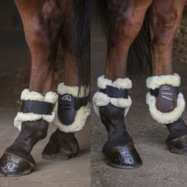 Cositori Norton XTR Fetlock