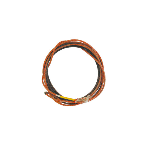 Lasou profesionist american