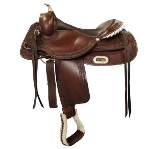 POOL'S Sa Western Reiner Flex 2020 