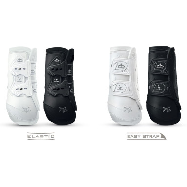 Cositori    Veredus Absolute Isabell Werth