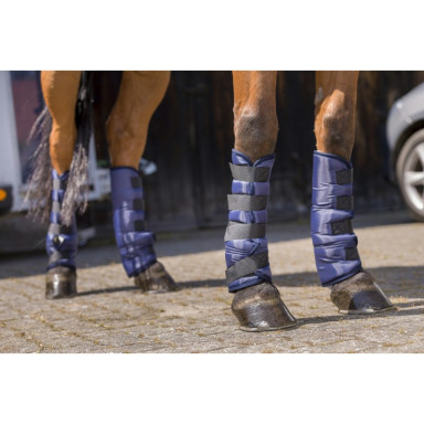 Jambieri de transport  RIDING WORLD 